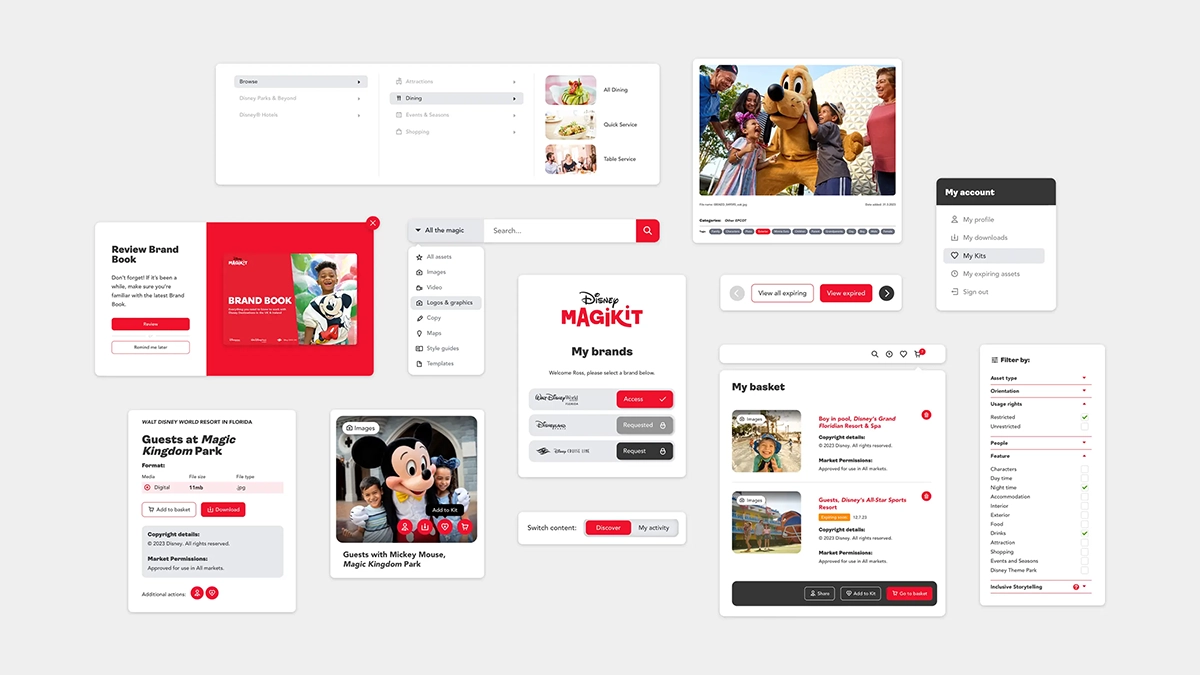 DDI Digital Asset Library - Website Component Visuals
